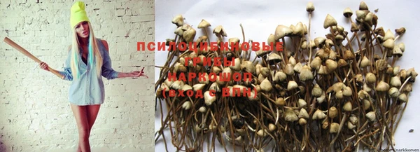 MESCALINE Балахна
