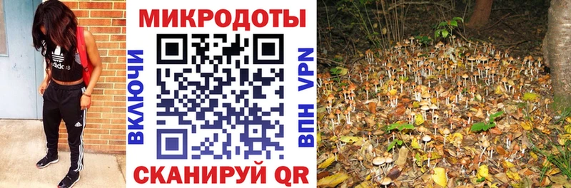 закладки  Томмот  Галлюциногенные грибы мицелий 